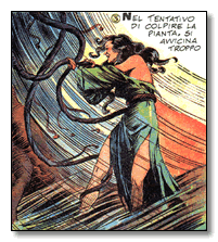 Figura 20. Una vignetta di Alex Raymond da Flash Gordon (1937)